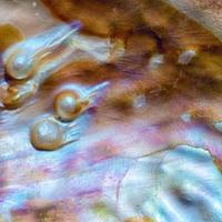 Water or Jelly Opal